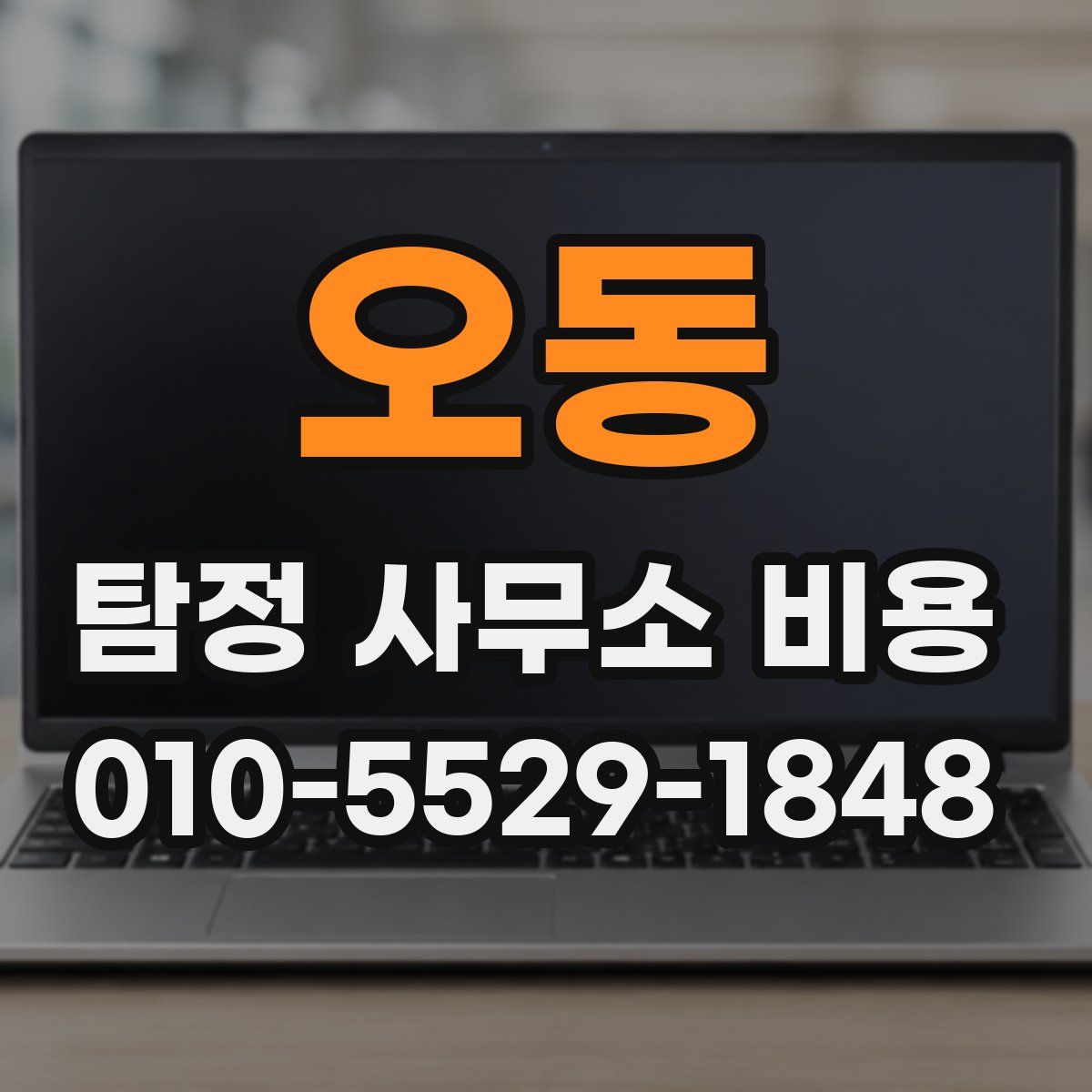 오동 탐정 사무소 비용