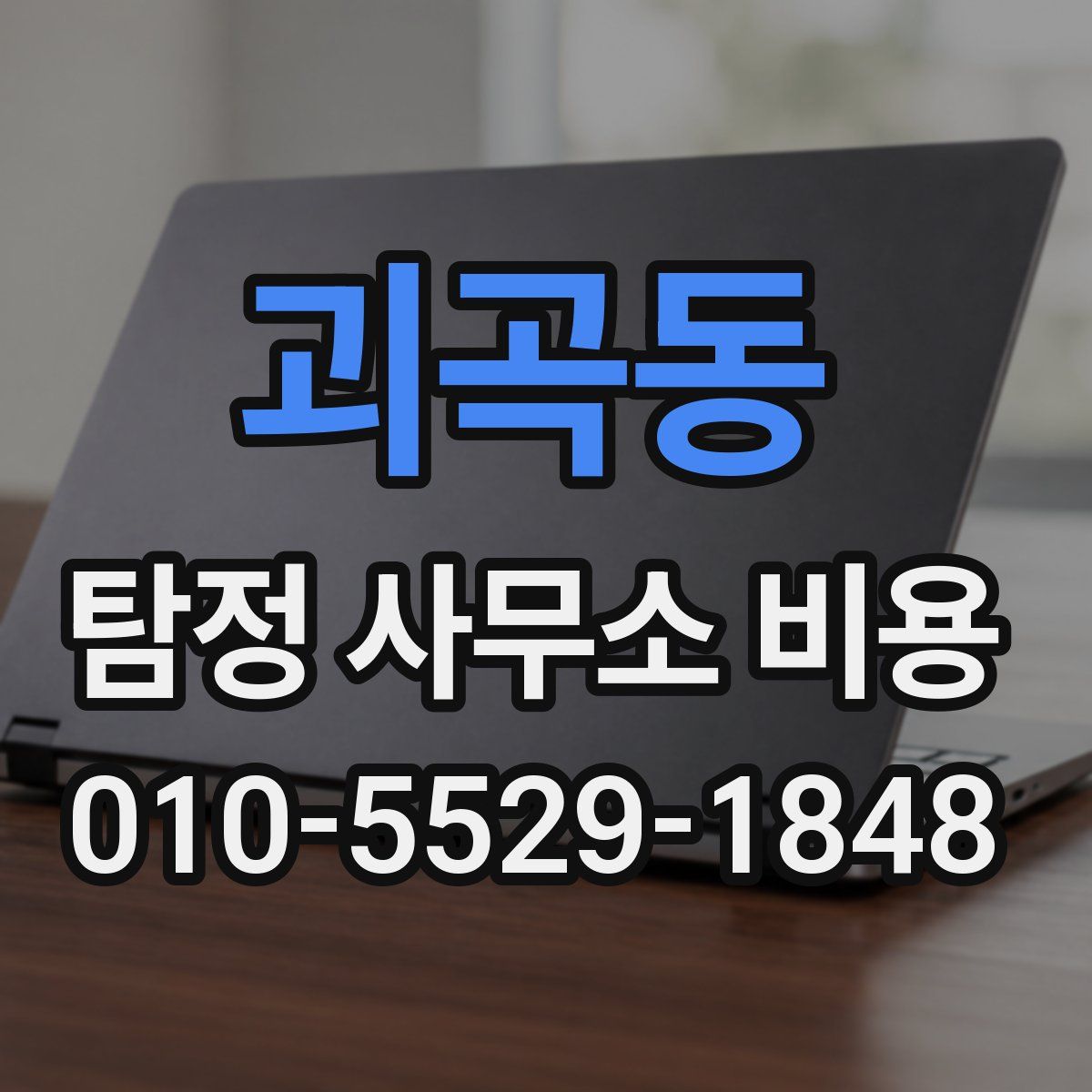 괴곡동 탐정 사무소 비용