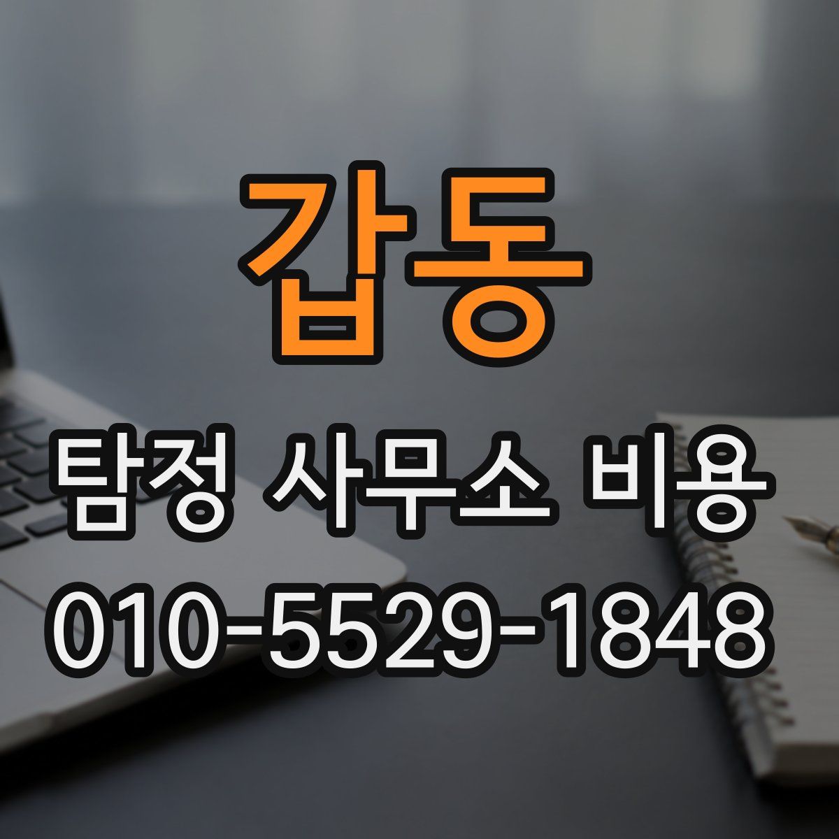 갑동 탐정 사무소 비용