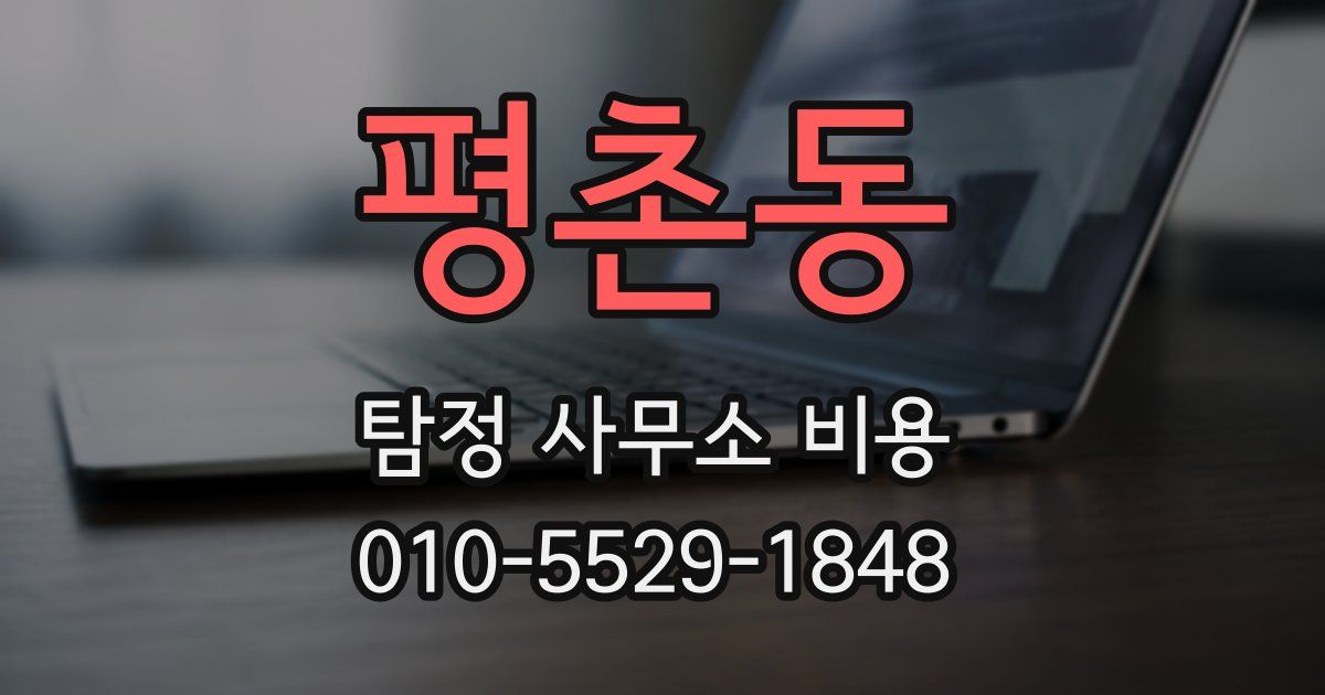 평촌동 탐정 사무소 비용