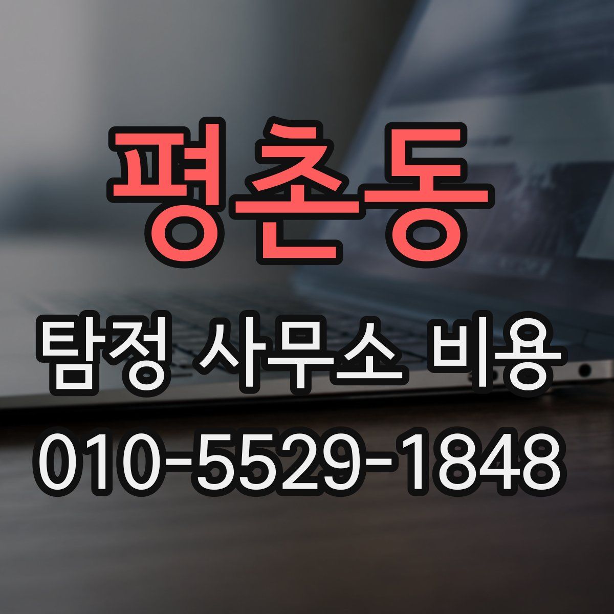 평촌동 탐정 사무소 비용
