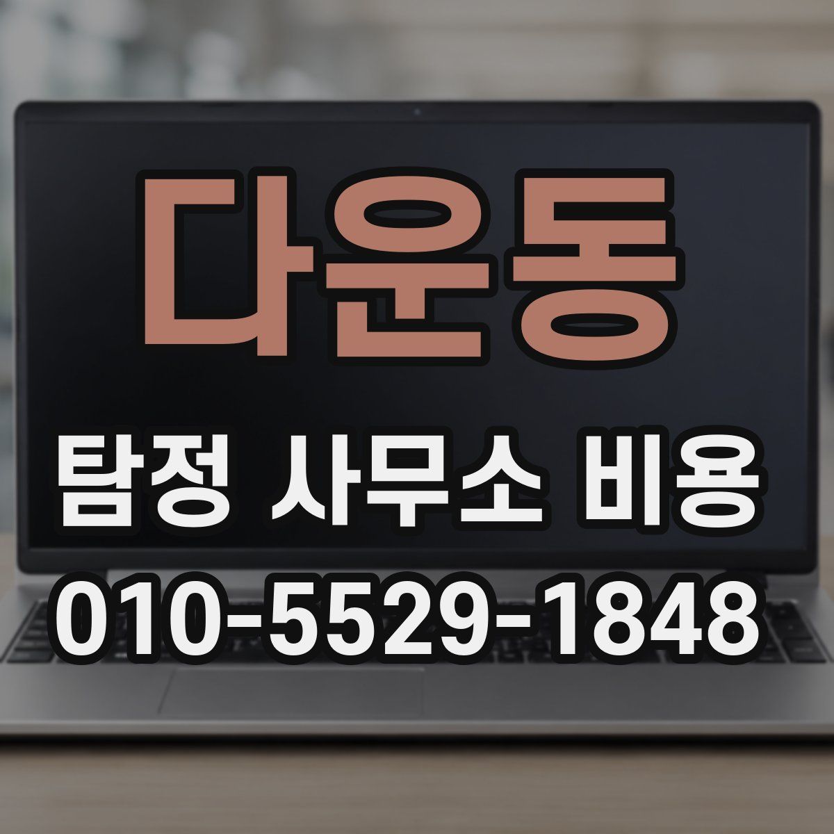 다운동 탐정 사무소 비용