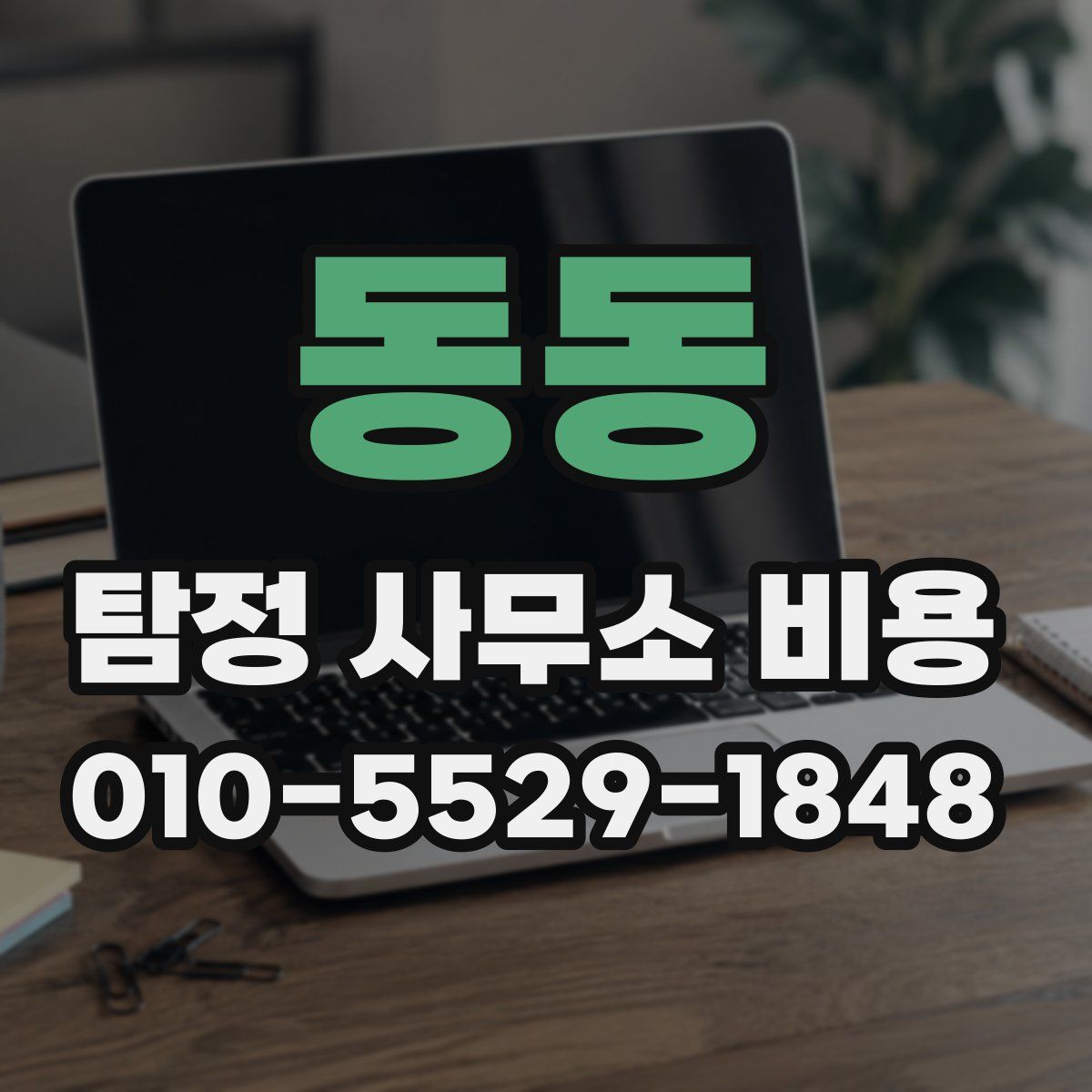 동동 탐정 사무소 비용