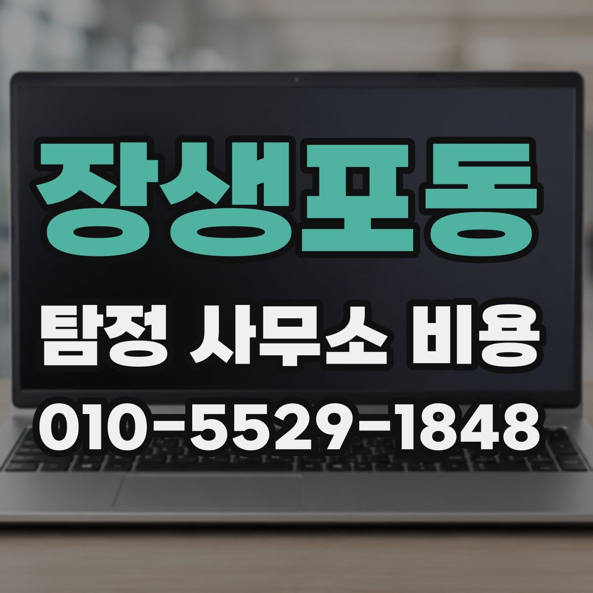 장생포동 탐정 사무소 비용
