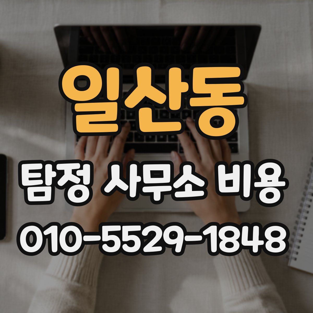 일산동 탐정 사무소 비용