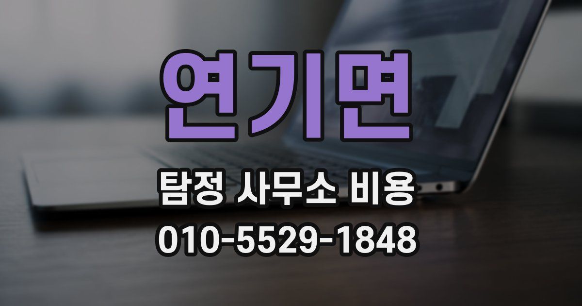 연기면 탐정 사무소 비용
