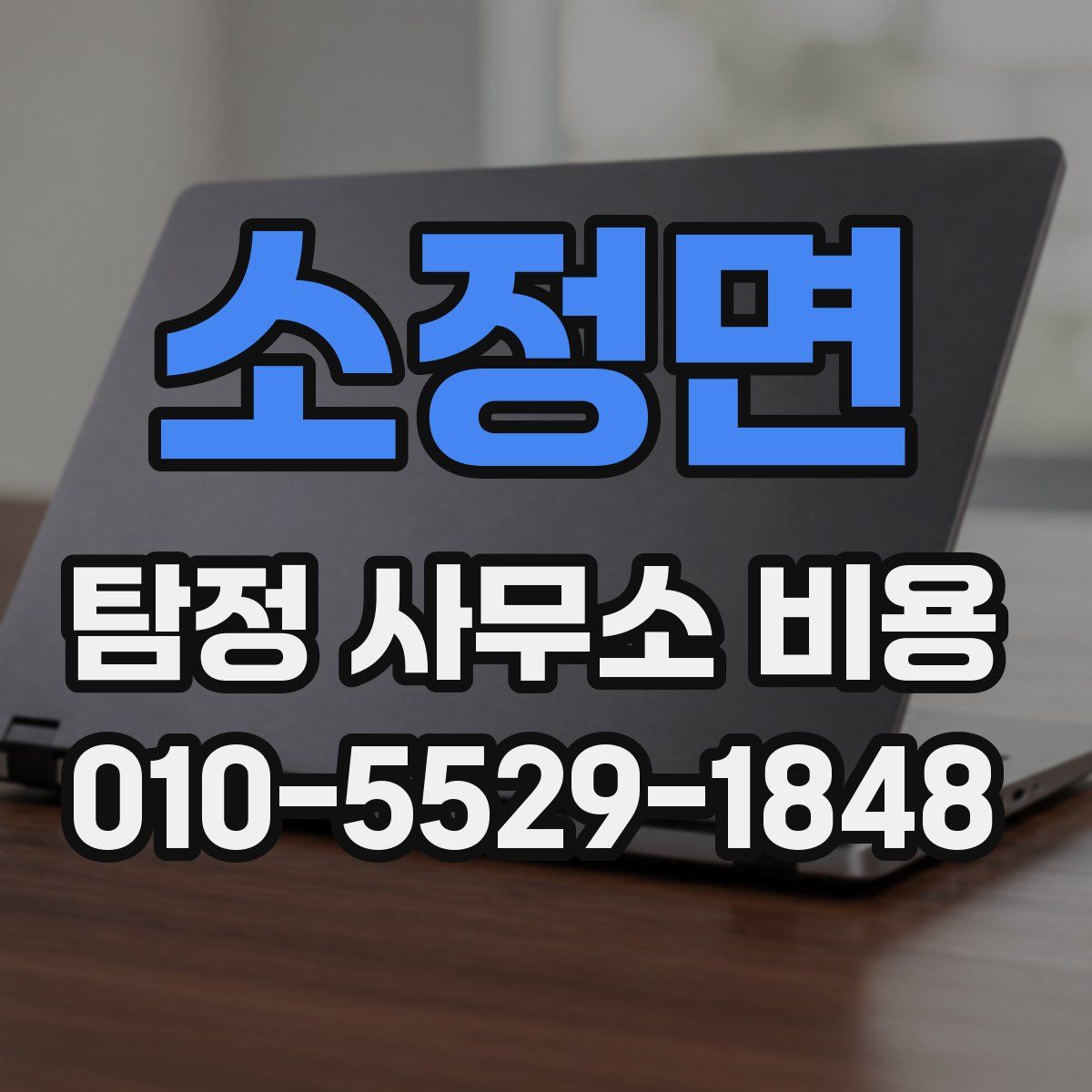 소정면 탐정 사무소 비용
