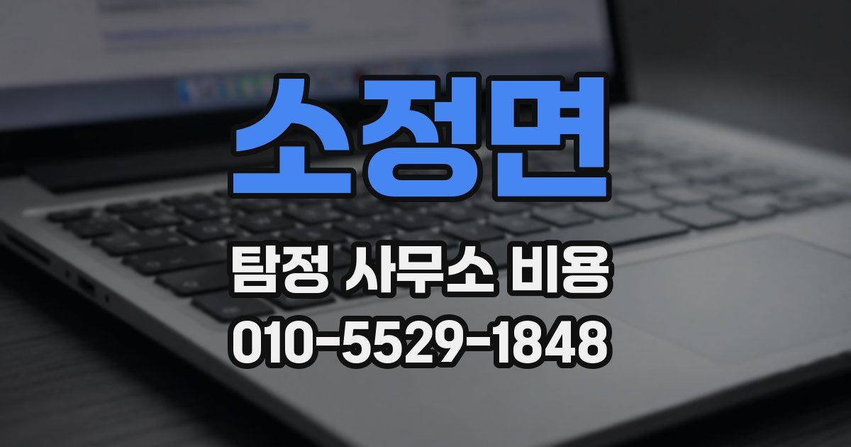 소정면 탐정 사무소 비용