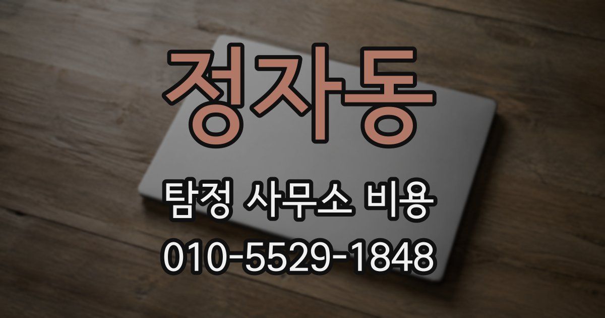 정자동 탐정 사무소 비용