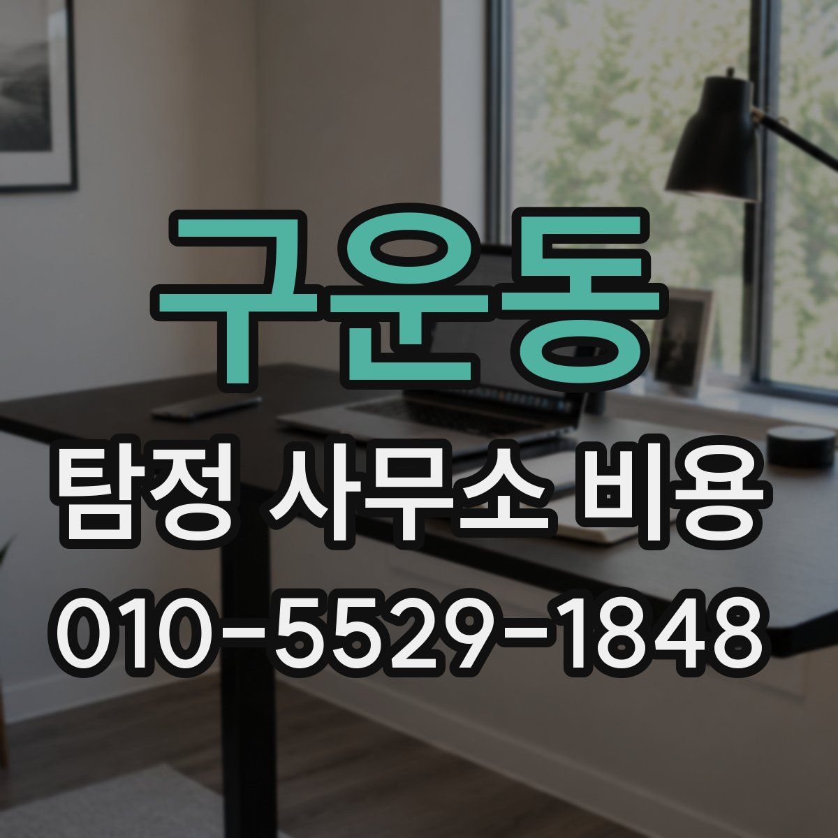 구운동 탐정 사무소 비용