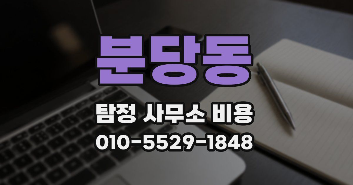 분당동 탐정 사무소 비용