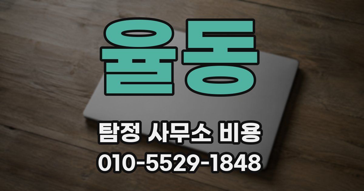 율동 탐정 사무소 비용