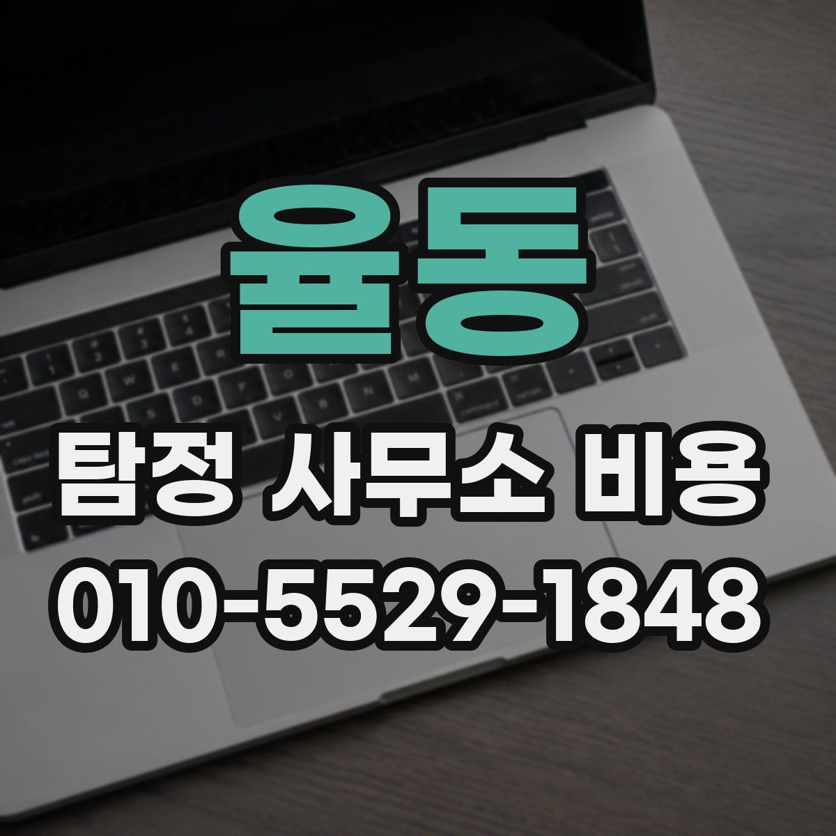 율동 탐정 사무소 비용