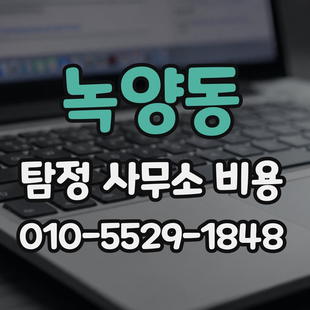 녹양동 탐정 사무소 비용