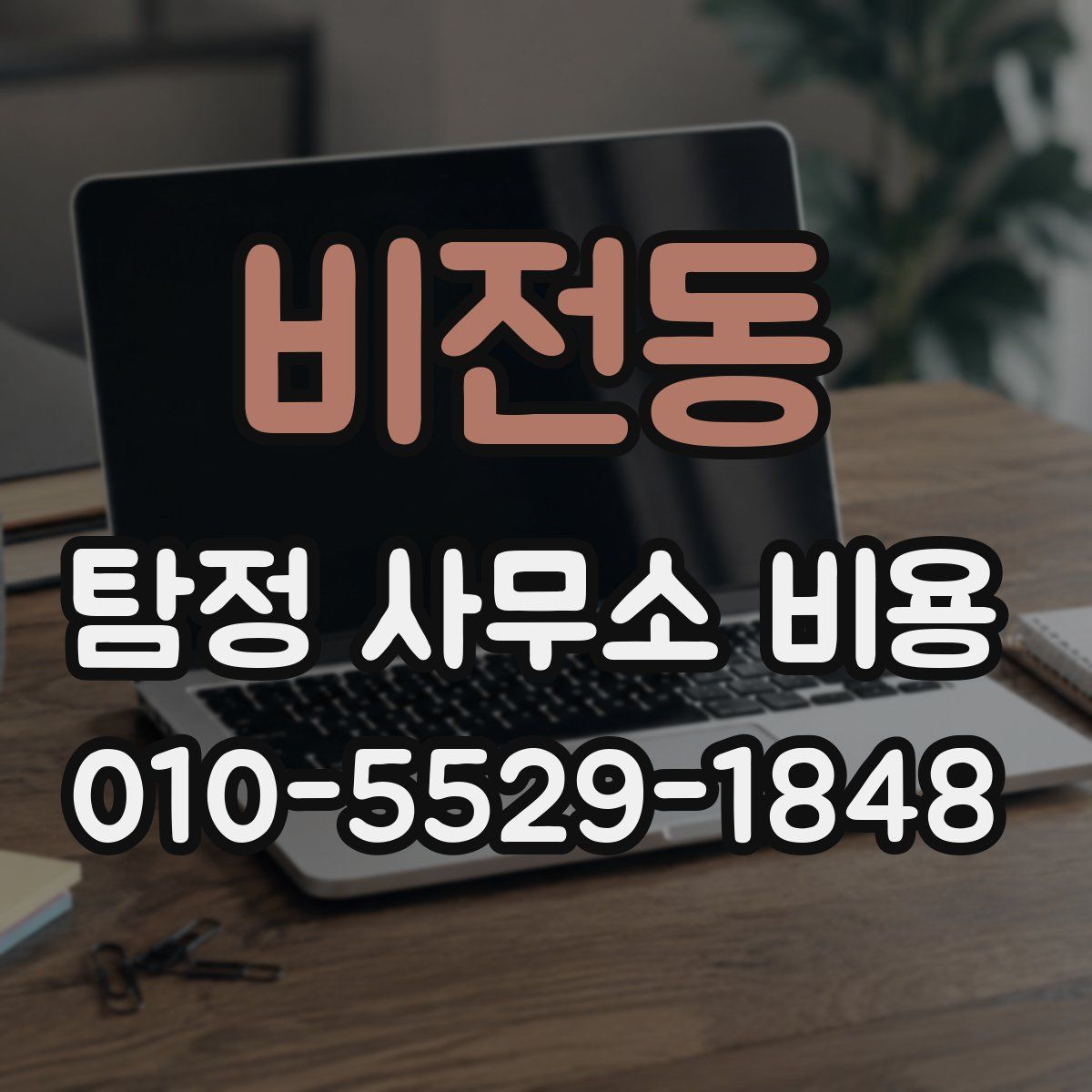비전동 탐정 사무소 비용