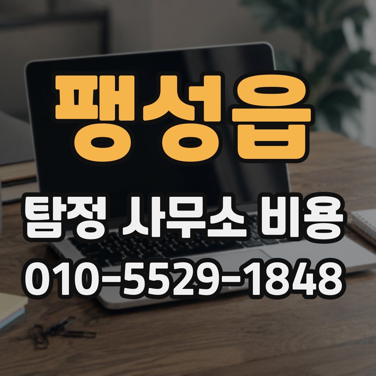 팽성읍 탐정 사무소 비용
