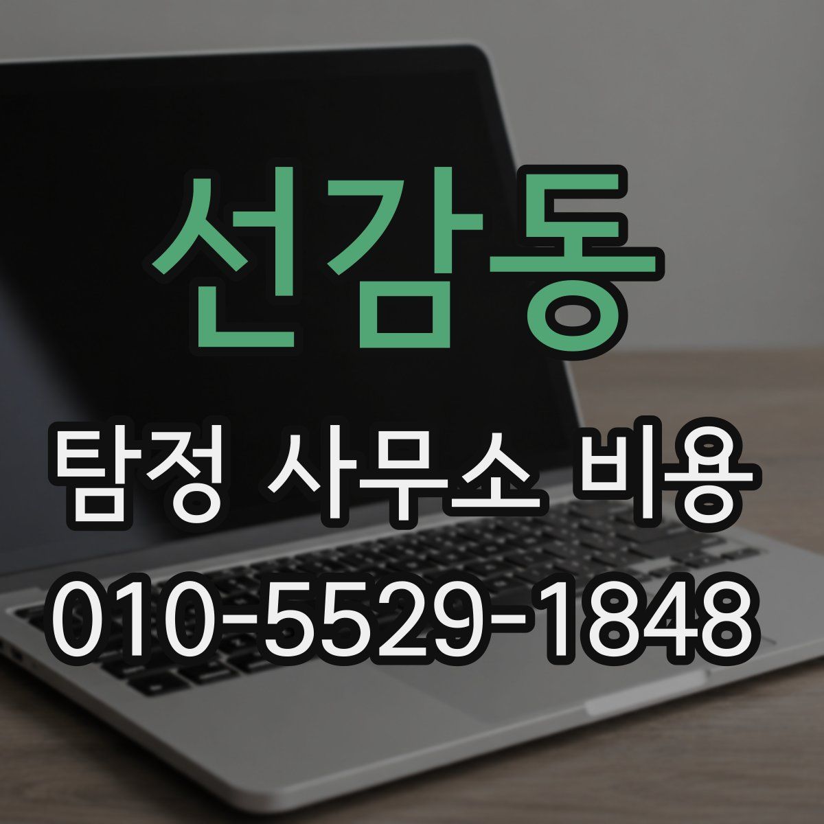 선감동 탐정 사무소 비용