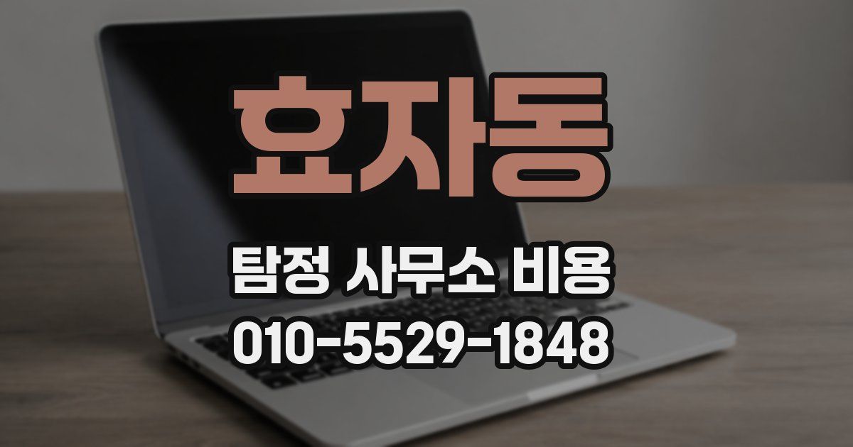 효자동 탐정 사무소 비용