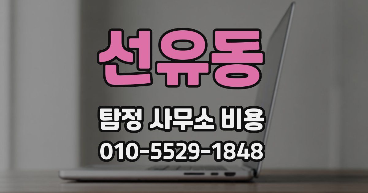 선유동 탐정 사무소 비용