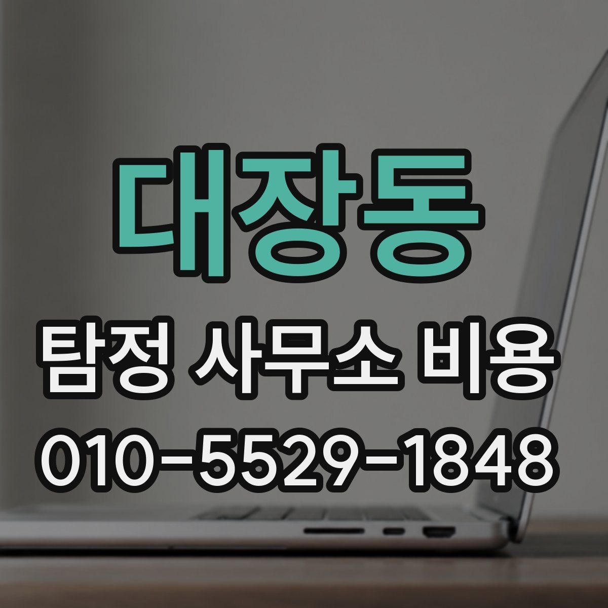 대장동 탐정 사무소 비용