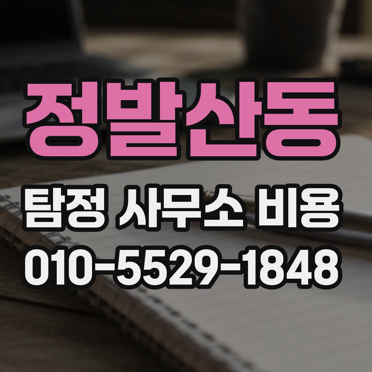 정발산동 탐정 사무소 비용