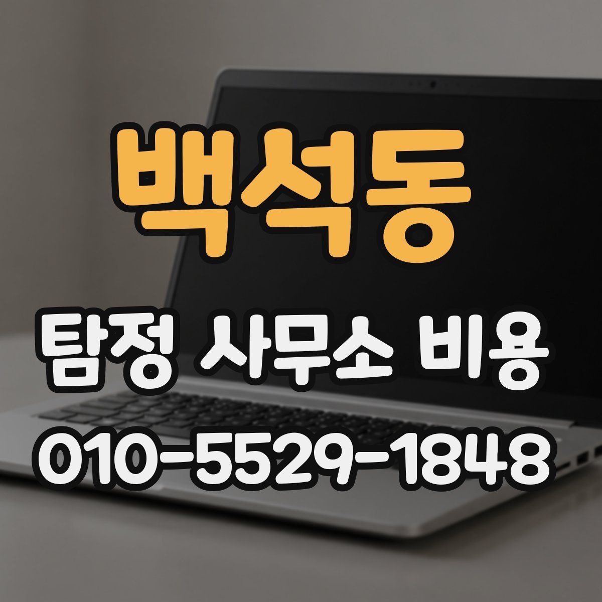 백석동 탐정 사무소 비용