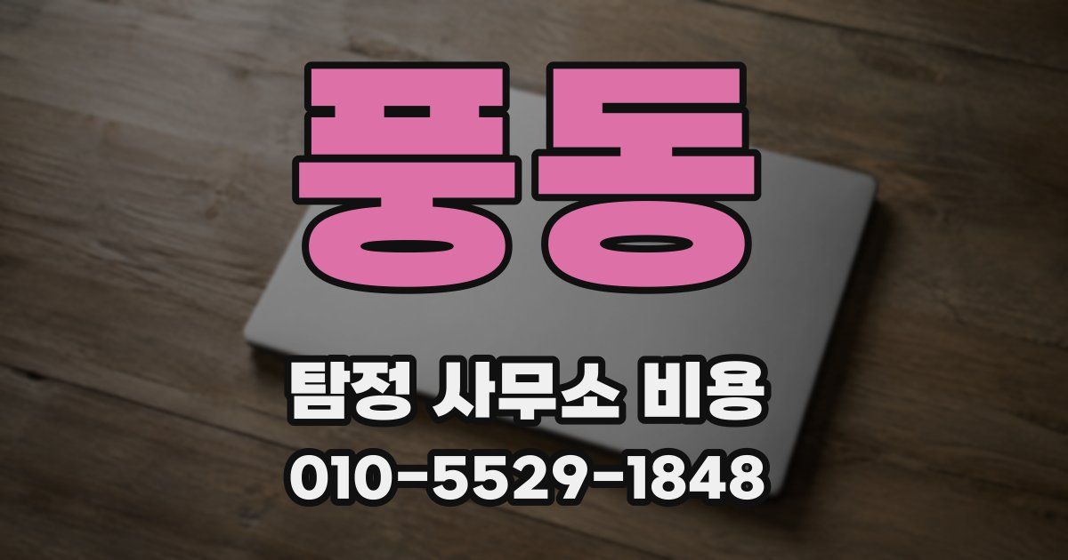 풍동 탐정 사무소 비용
