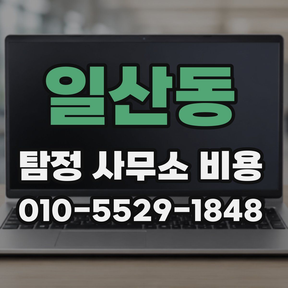 일산동 탐정 사무소 비용