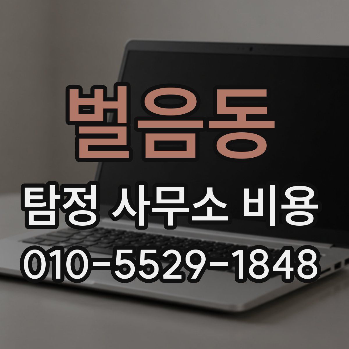 벌음동 탐정 사무소 비용