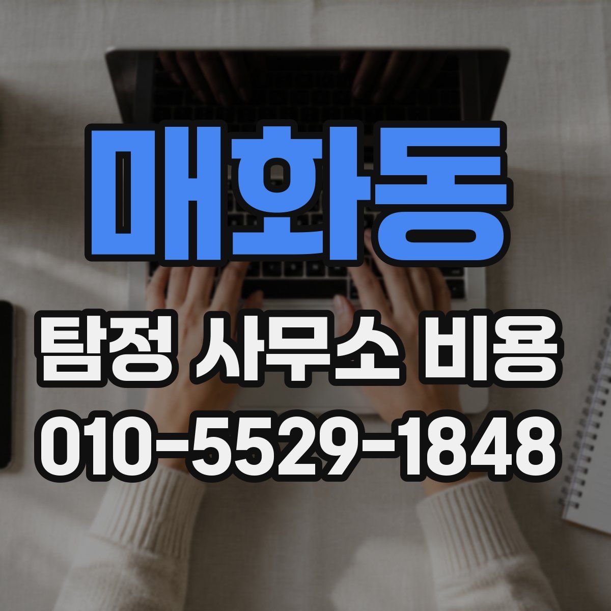매화동 탐정 사무소 비용