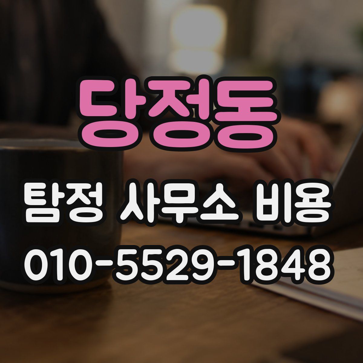 당정동 탐정 사무소 비용