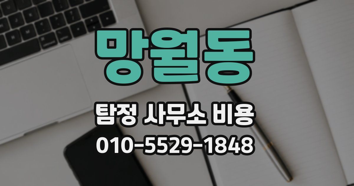 망월동 탐정 사무소 비용