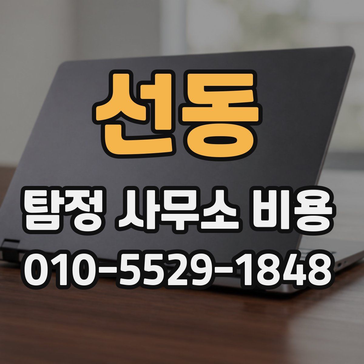 선동 탐정 사무소 비용
