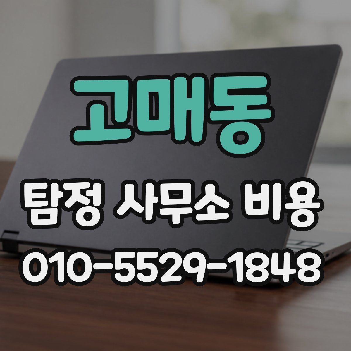 고매동 탐정 사무소 비용