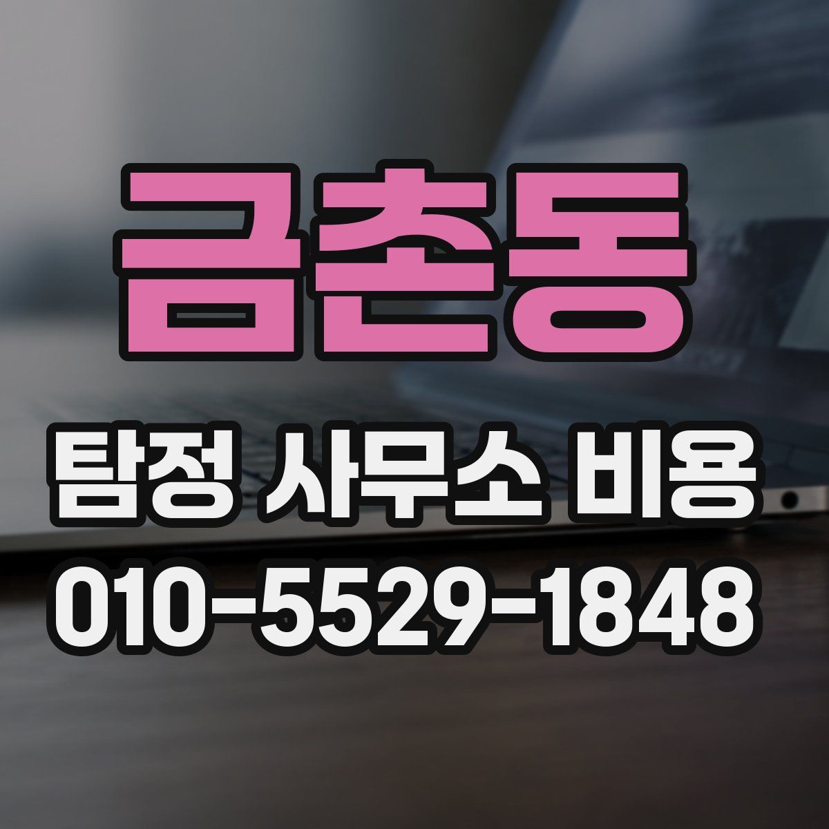 금촌동 탐정 사무소 비용