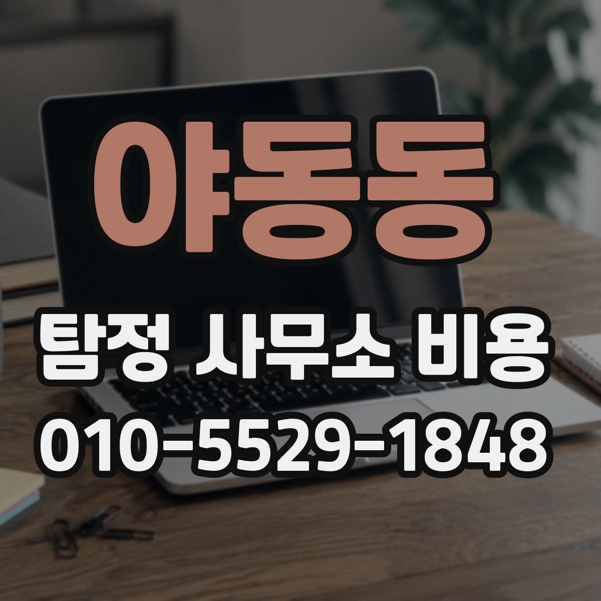 야동동 탐정 사무소 비용