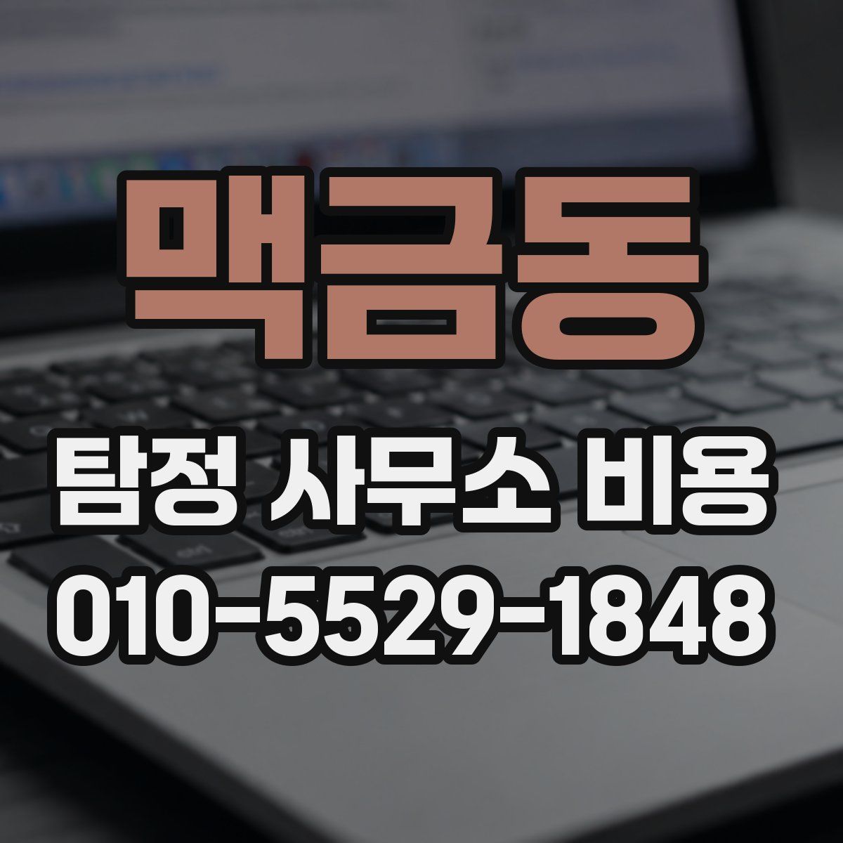 맥금동 탐정 사무소 비용