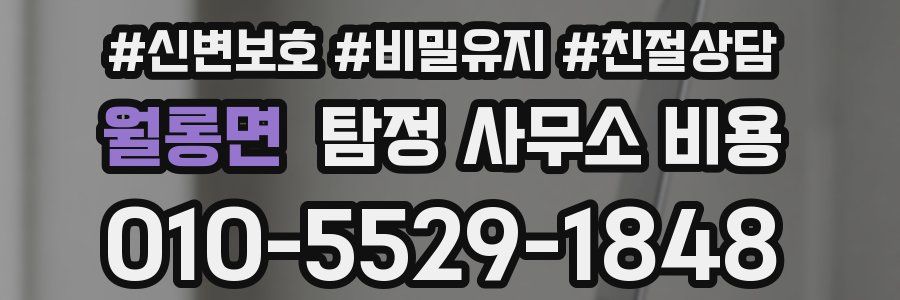 월롱면 탐정 사무소 비용