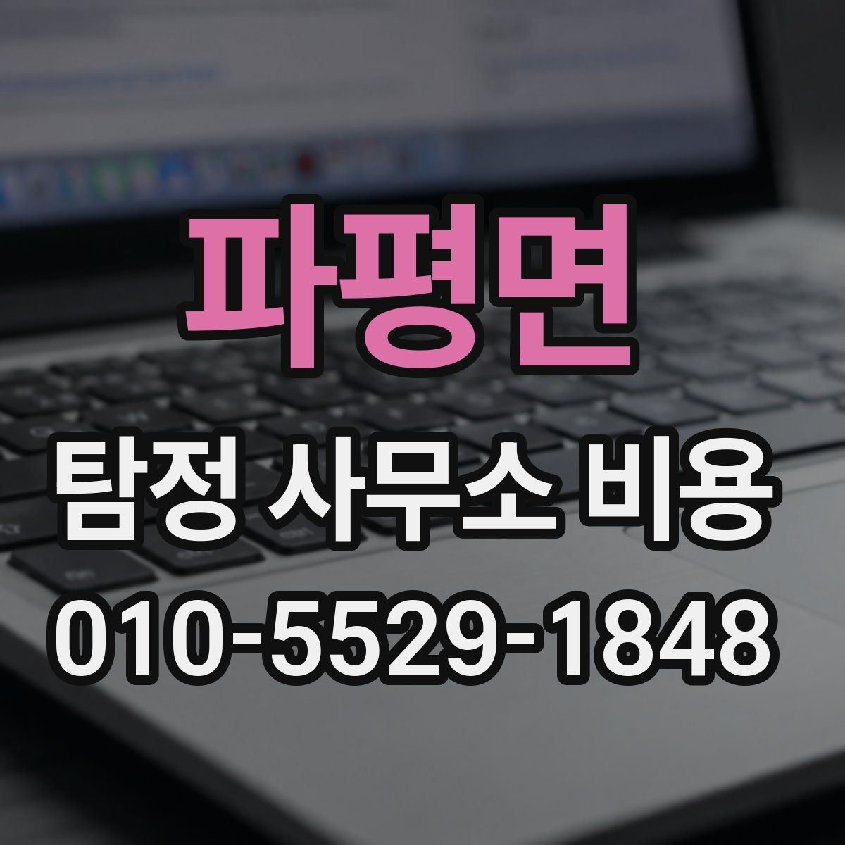 파평면 탐정 사무소 비용