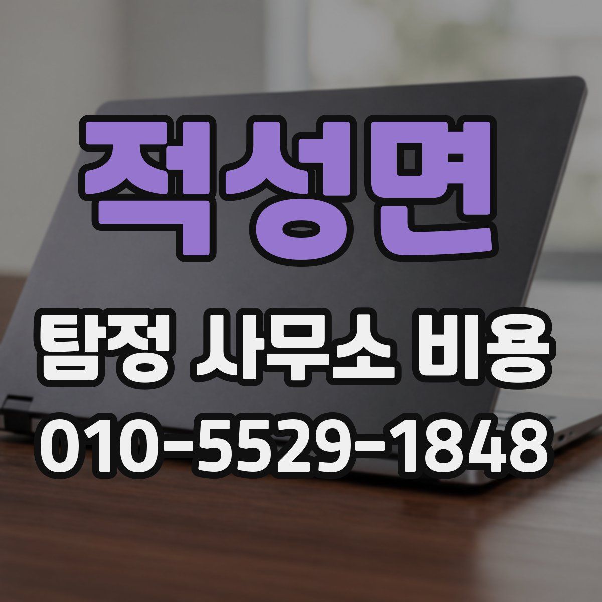 적성면 탐정 사무소 비용