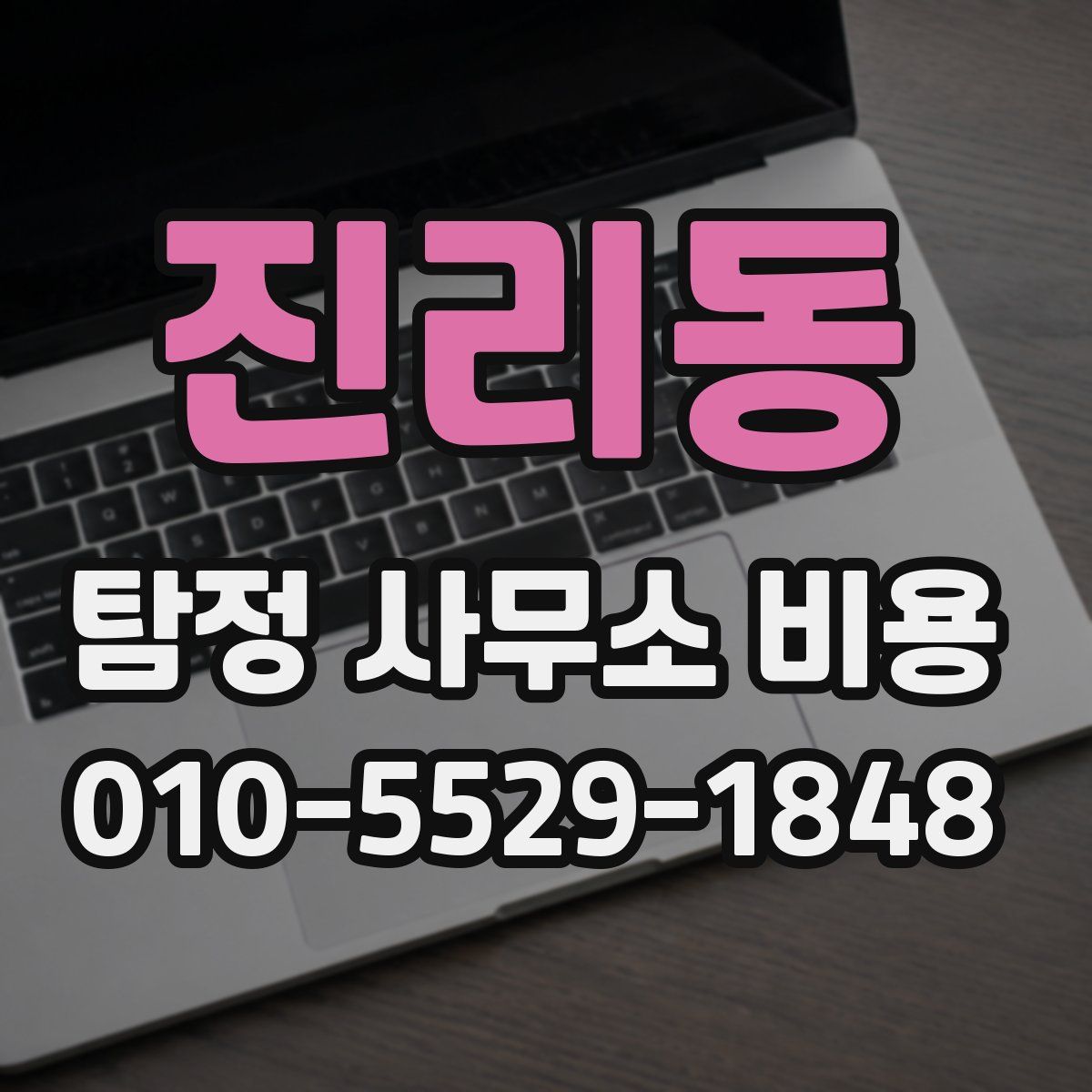 진리동 탐정 사무소 비용