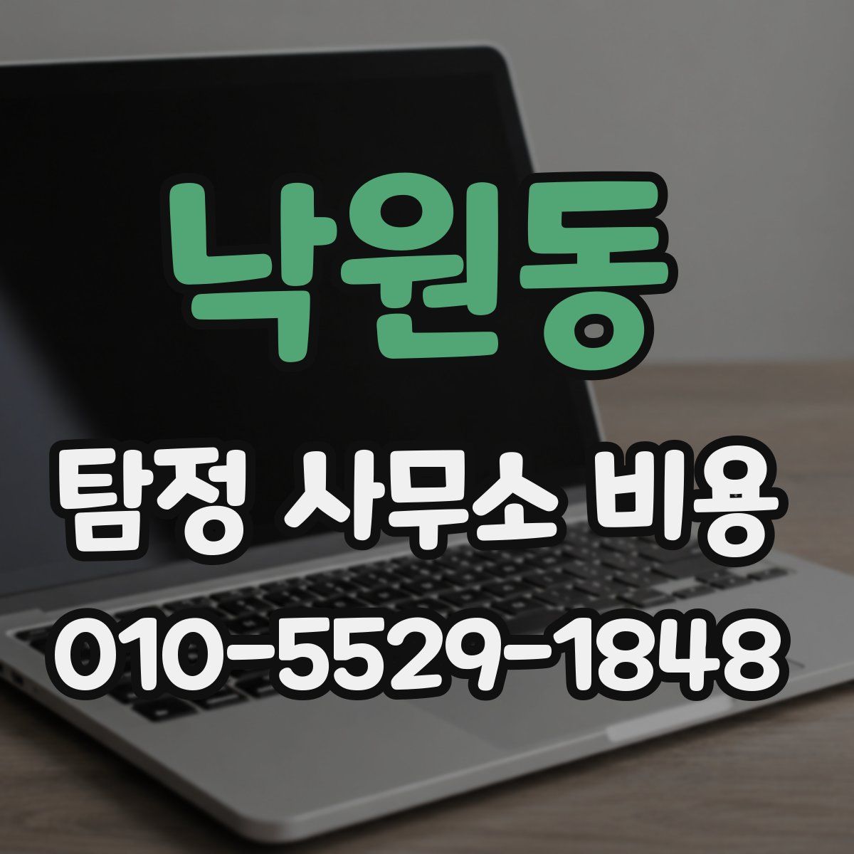 낙원동 탐정 사무소 비용