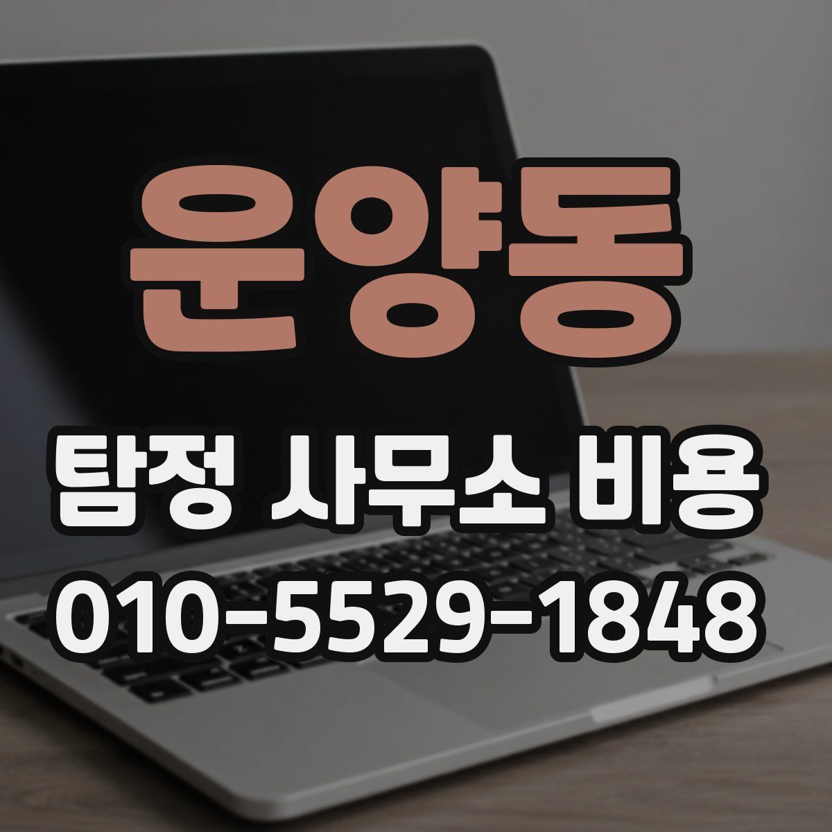 운양동 탐정 사무소 비용