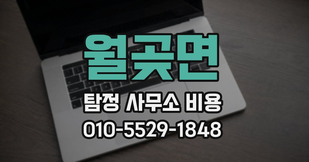 월곶면 탐정 사무소 비용