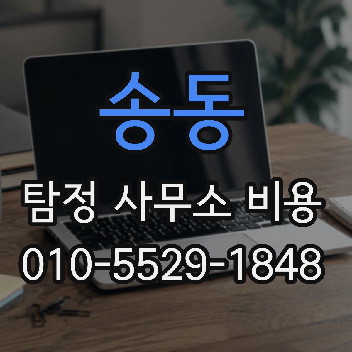 송동 탐정 사무소 비용