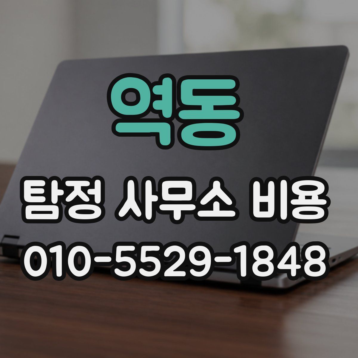 역동 탐정 사무소 비용