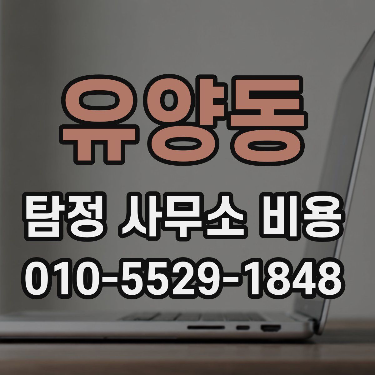 유양동 탐정 사무소 비용