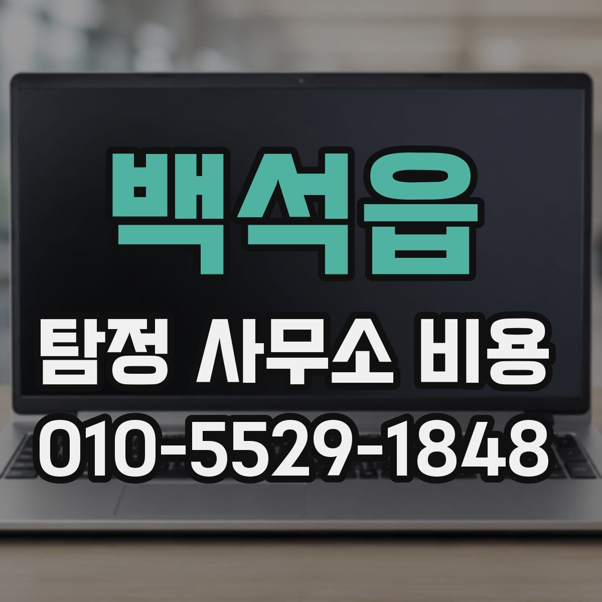 백석읍 탐정 사무소 비용