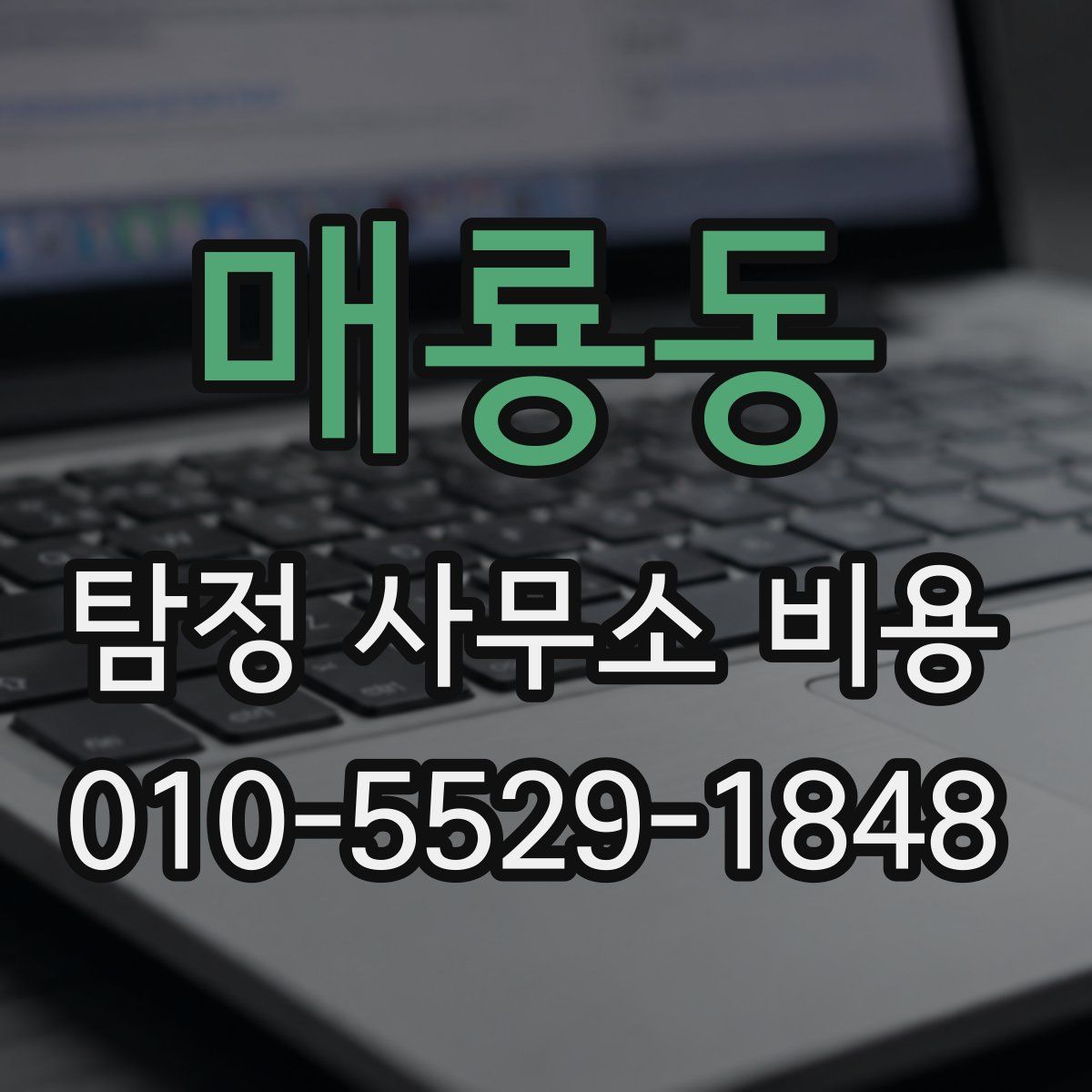 매룡동 탐정 사무소 비용