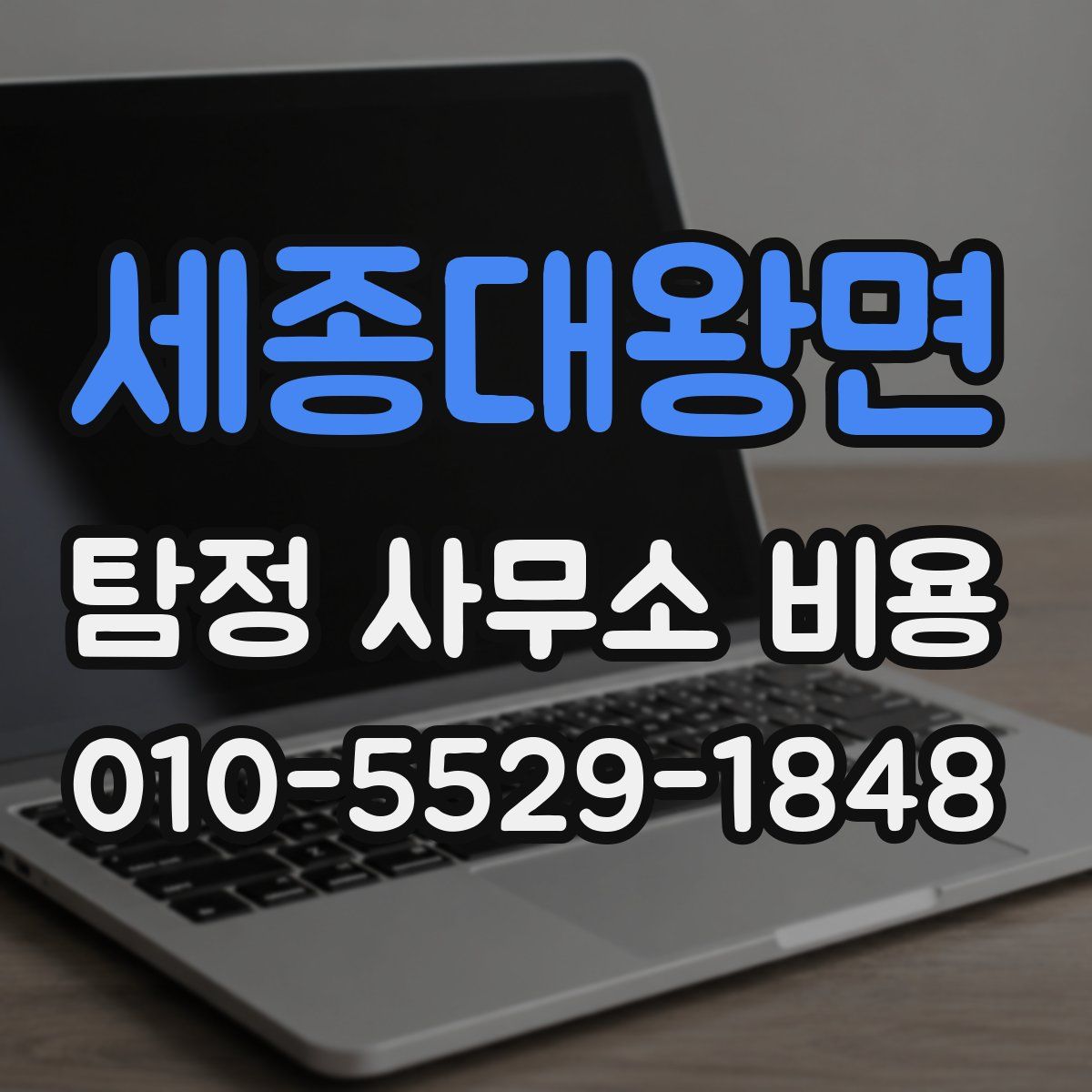 세종대왕면 탐정 사무소 비용